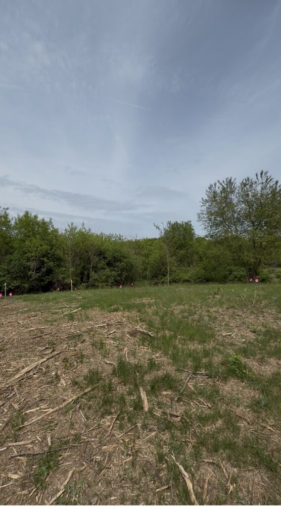 Future view from covered deck at Five Trails.