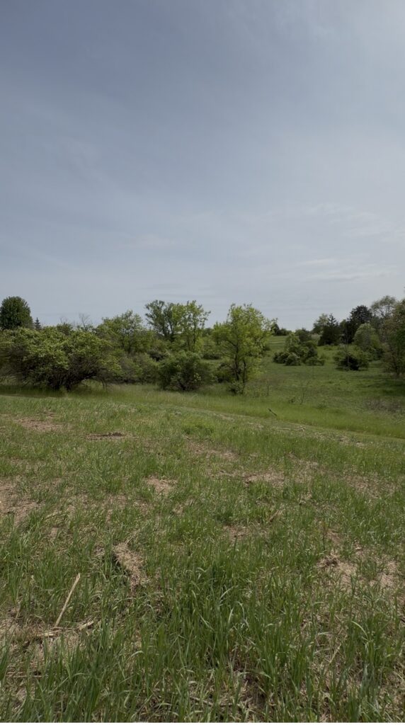 looking south from future front porch